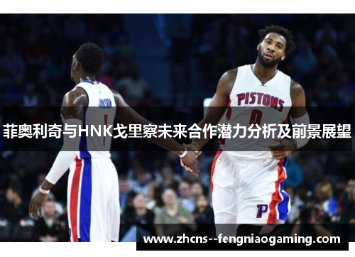 菲奥利奇与HNK戈里察未来合作潜力分析及前景展望