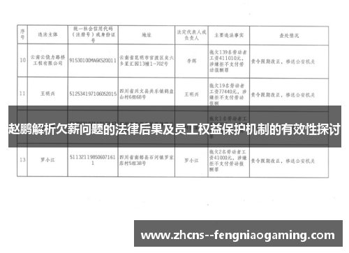 赵鹏解析欠薪问题的法律后果及员工权益保护机制的有效性探讨