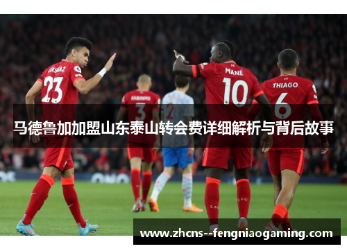 马德鲁加加盟山东泰山转会费详细解析与背后故事