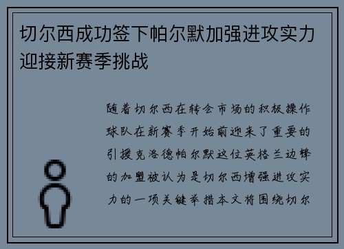 切尔西成功签下帕尔默加强进攻实力迎接新赛季挑战