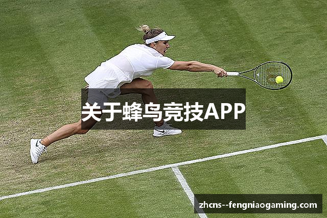 关于蜂鸟竞技APP